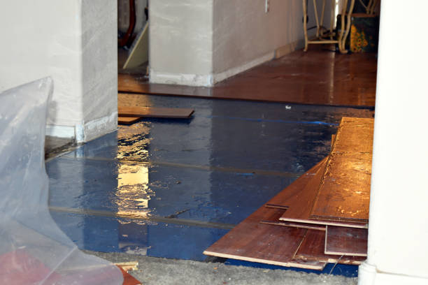 Professional Basement Flood Cleanup technician working in Pembroke, ME